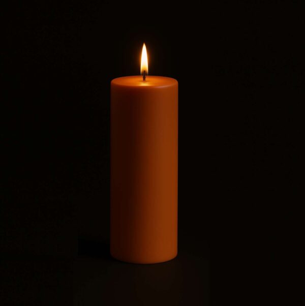 Fat Pillar Candle | Handcrafted Organic Aromatherapy | 100% Soy Wax | Smoke-Free | Vegan, Non-Toxic | Candles for Home Decor & Gift Set