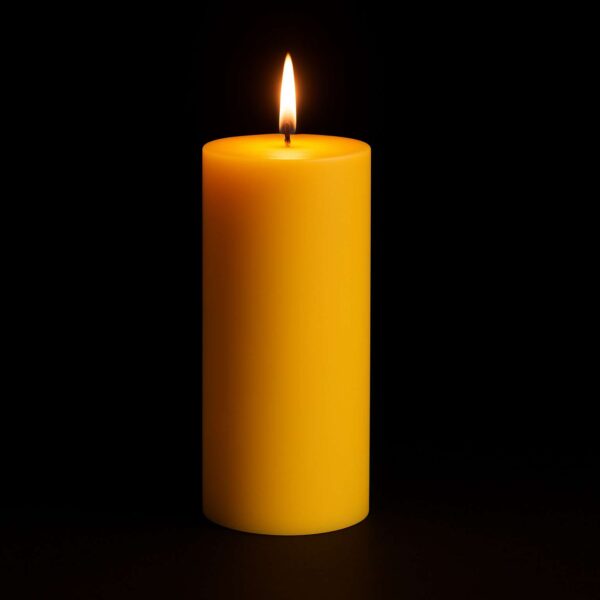 Fat Pillar Candle | Handcrafted Organic Aromatherapy | 100% Soy Wax | Smoke-Free | Vegan, Non-Toxic | Candles for Home Decor & Gift Set